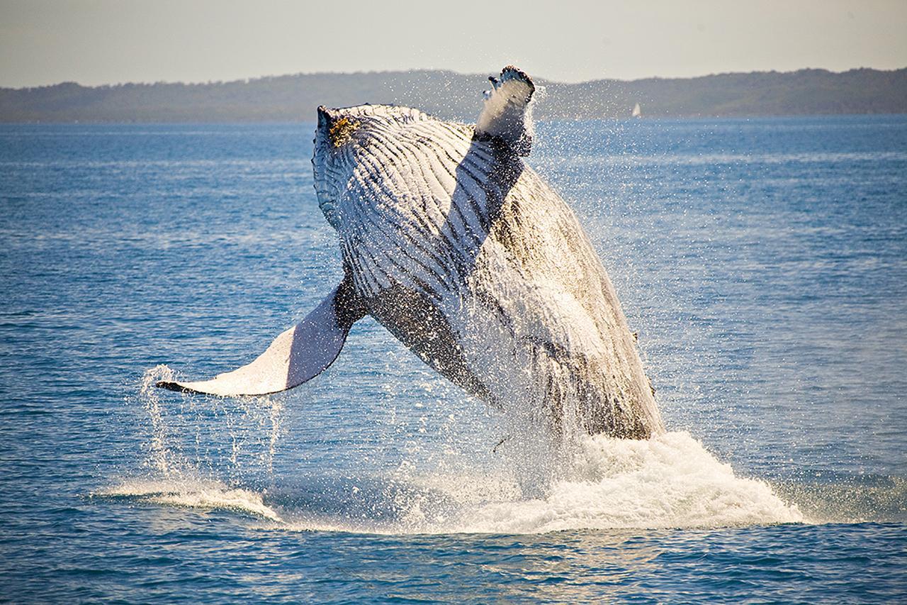 Ingenia Holidays Hervey Bay Luaran gambar